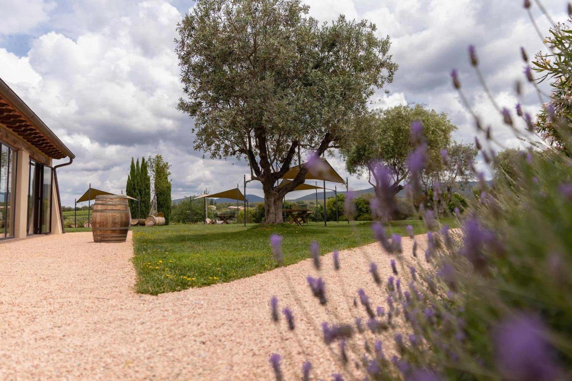 Locanda Dell'Aioncino Bibbona Luaran gambar